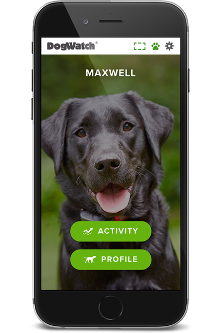 DogWatch by Kerry's Landscaping, Brookings, South Dakota | SmartFence WebApp Image